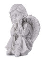 413064184766677-andel